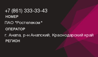 8613333343